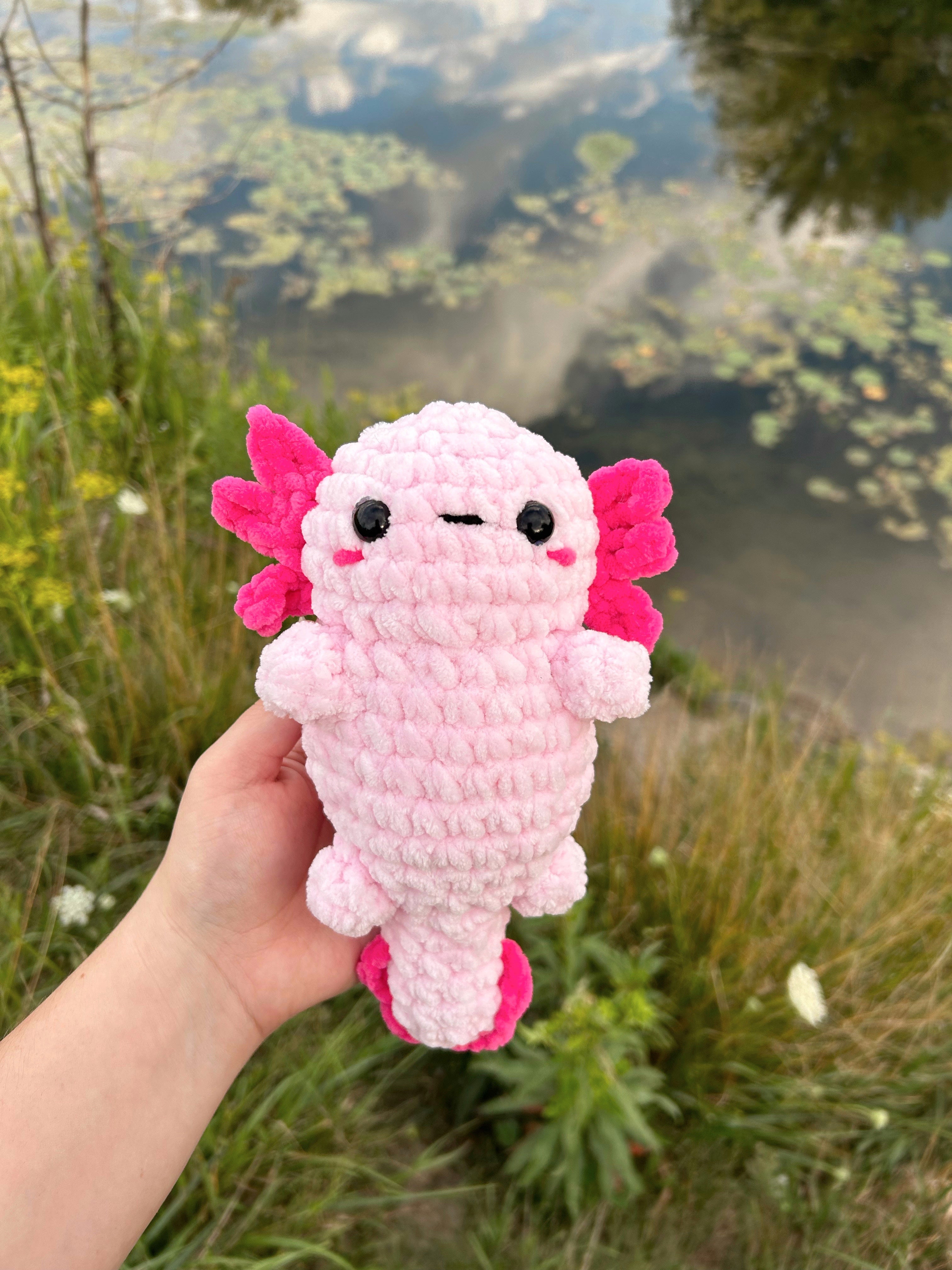 Axolotl – Amethyst Claire