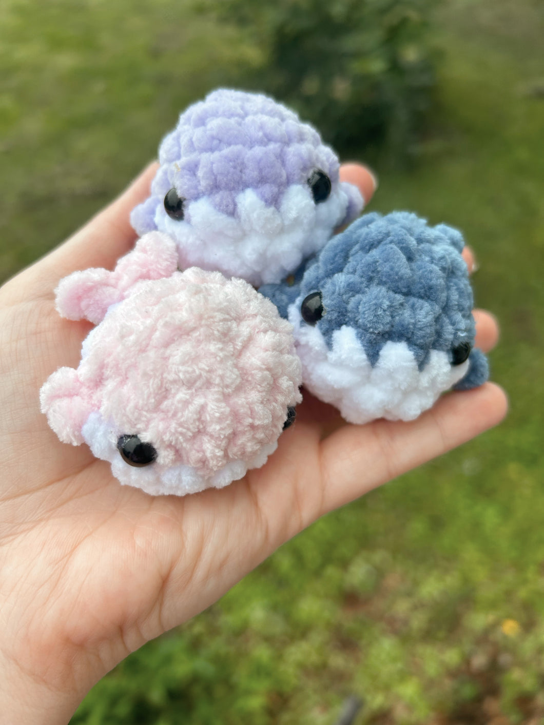 Teeny tiny whales