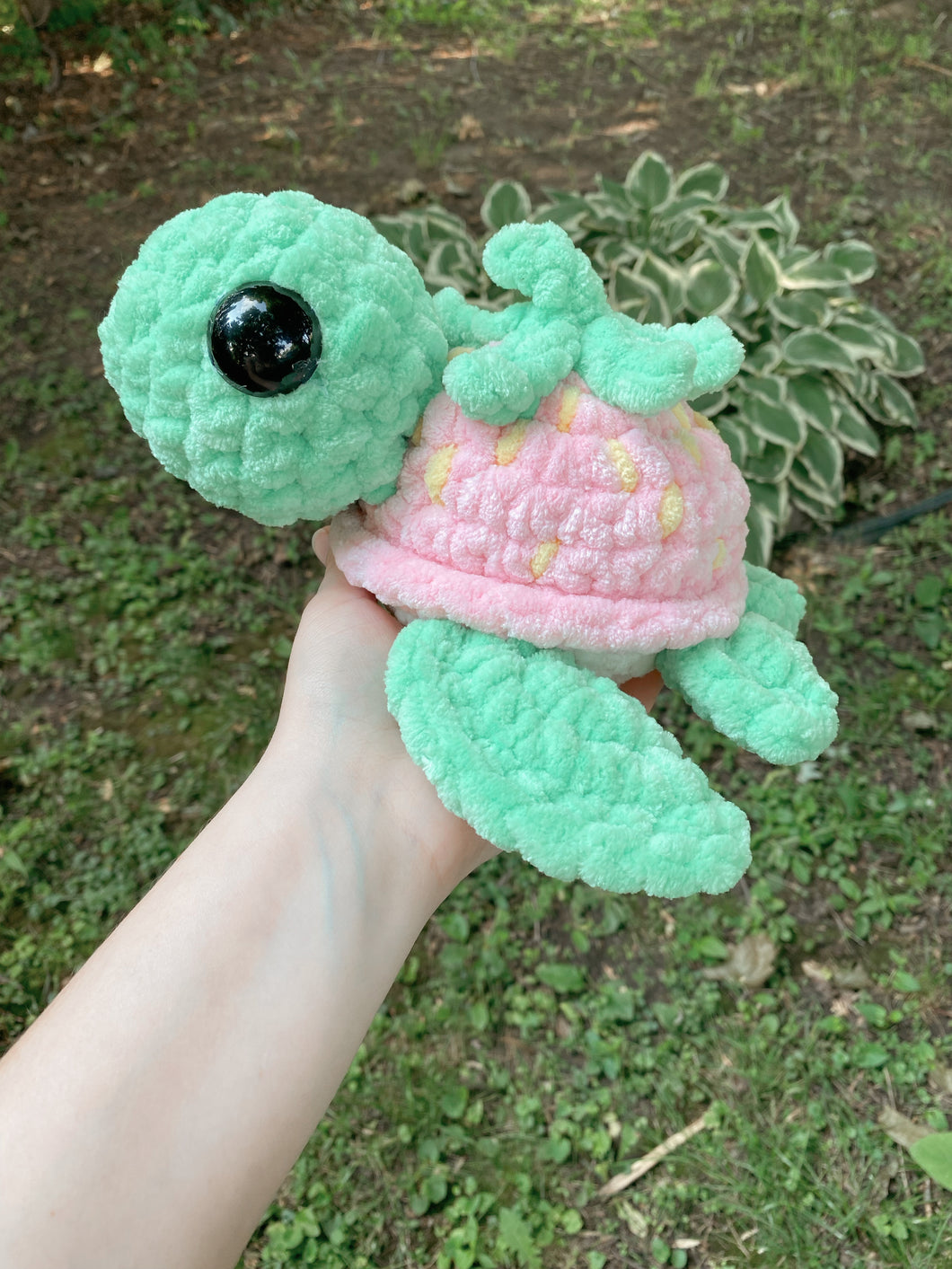 Pink Strawberry Turtle