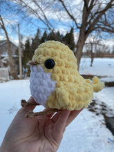Load image into Gallery viewer, Spring Baby Birds
